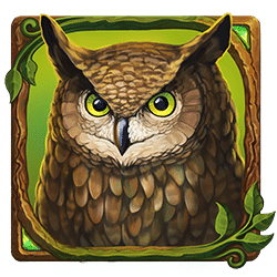 Icon 5 Druids’ Dream