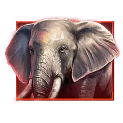 Icon 1 Savannah Pride