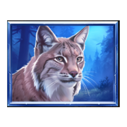 Icon 4 WolfWood PrizeTower