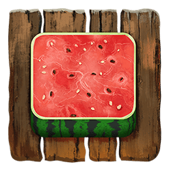 Icon 5 Tiki Runner 2 DoubleMax