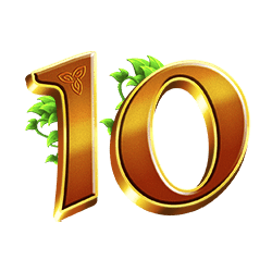 Icon 9 Secret Riches of the Irish