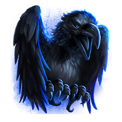 Icon 5 Raven Bjorn