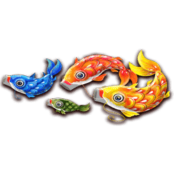 Icon 5 Floating Dragon Hold and Spin