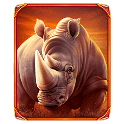 Icon 5 The Ultimate 5