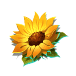 Icon 10 Chickenville Power Combo