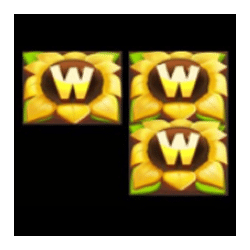 Icon 1 Fattoria D’Oro