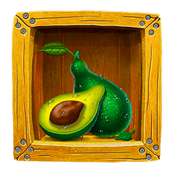 Icon 7 Tequila Fiesta