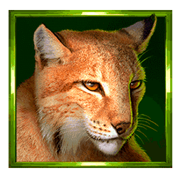 Icon 4 Buffalo Coin: Hold The Spin