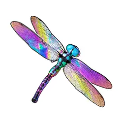 Icon 2 Big Bass Reel Repeat