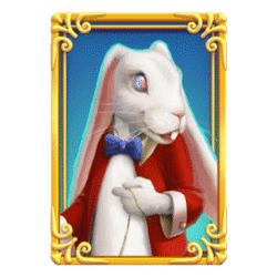 Icon 4 Trump Card Queen