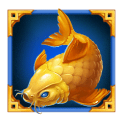 Icon 3 Carnival Cat: Bonus Combo