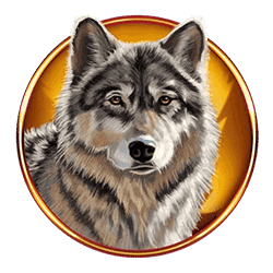 Icon 3 Bison Moon Ultra Link & Win