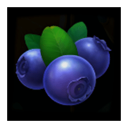 Icon 9 Stunning Crown