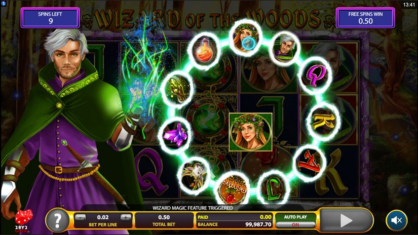 Wizard of the Woods slot screen 3