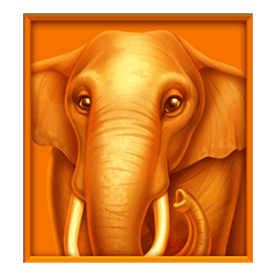 Icon 2 Jungle Jamboree Dream Drop