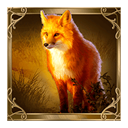 Icon 3 Timeless Rose