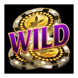 Wild Symbol of Playboy Fortunes Slot