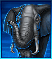 Icon 4 Safari Gold Megaways