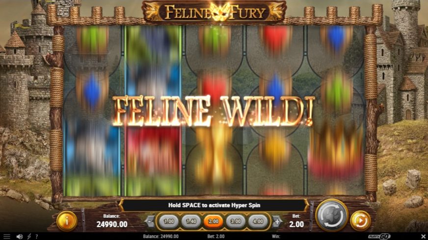 Feline Fury slot screen 2