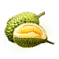 Icon 6 Thai Blossoms