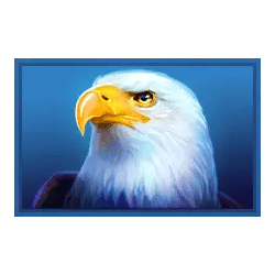 Icon 5 Immortal Ways Buffalo