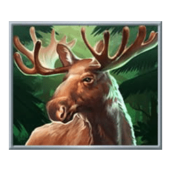 Icon 5 Bison Rising Reloaded Megaways