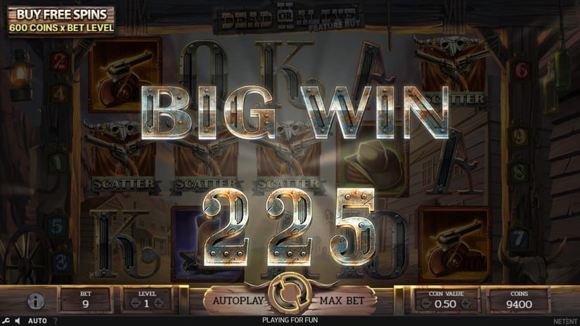 Dead or Alive 2 Feature Buy slot screen 2