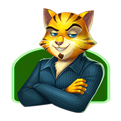 Icon 6 Cats and Cash