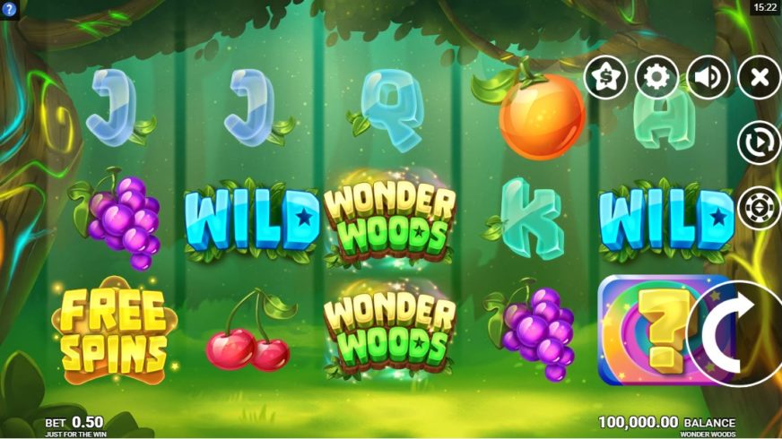Wonder Woods slot screen 1