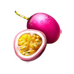 Icon 3 Tropical Bonanza