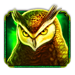 Icon 3 Madame Destiny