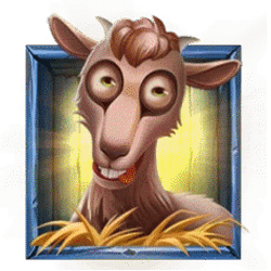 Icon 3 Animal Madness