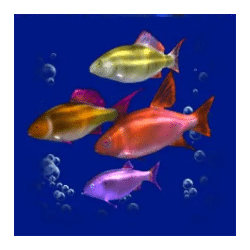 Icon 7 Dolphin’s Pearl Deluxe