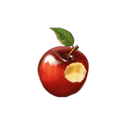 Icon 5 Snow Wild And The 7Features