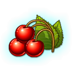 Icon 10 Super 12 Stars