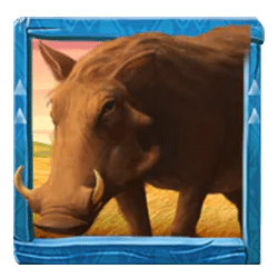 Icon 5 Savannah Spirits