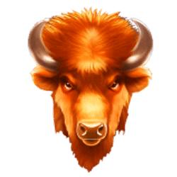 Icon 1 Bison Madness PrizeTower