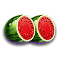 Icon 5 Jewel Stepper