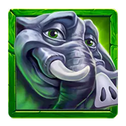 Icon 2 Savannah Gold Coin of the Wild