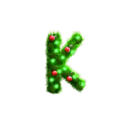 Icon 8 Take Santas Shop