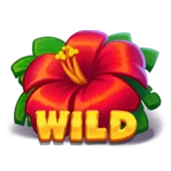 Wild Symbol of Hawaii Riches Slot
