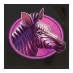 Icon 5 Safari Chase Hit ‘n’ Roll