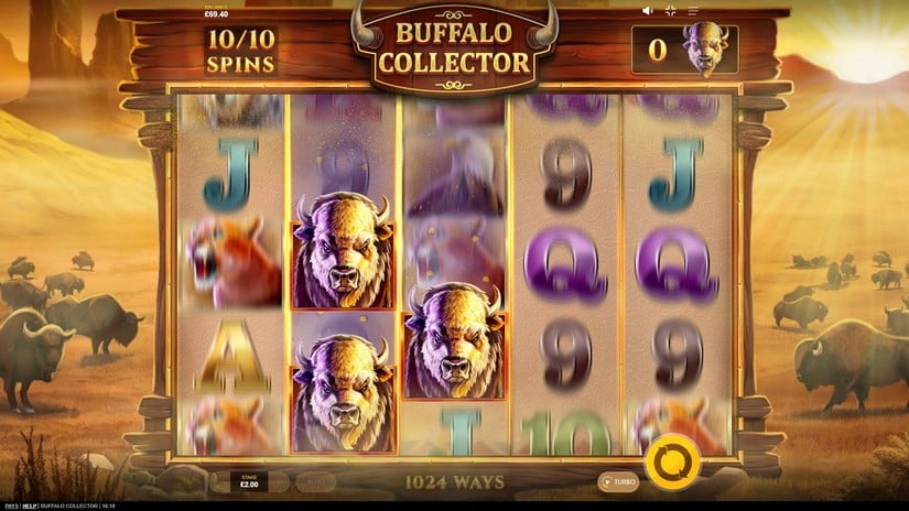 Buffalo Collector slot screen 3