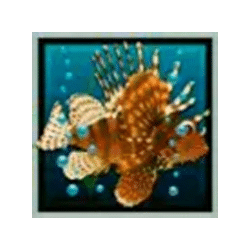 Icon 6 Dolphin’s Pearl