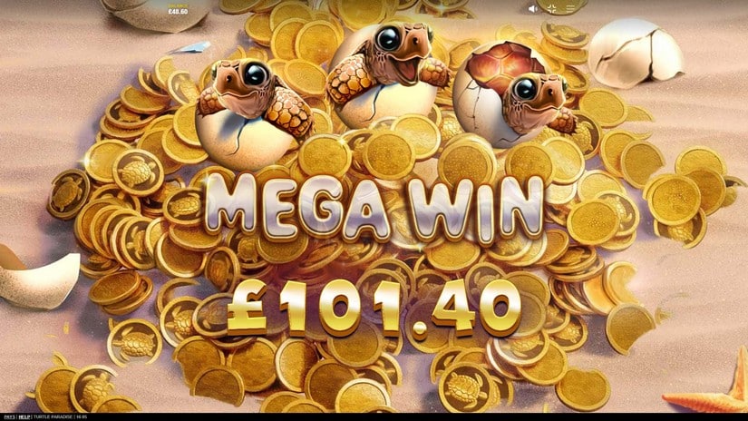 Turtle Paradise slot screen 4