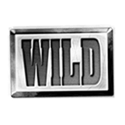 Wild Symbol of Wild Fruits Slot