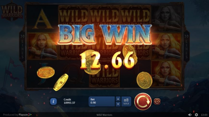Wild Warriors slot screen 4