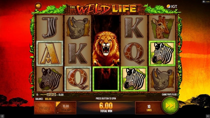 The Wild Life slot screen 3