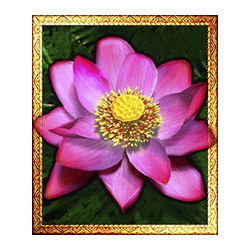 Scatter of Thai Flower Megaways Slot