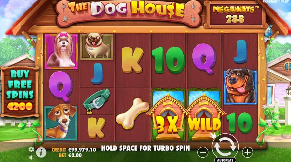 The Dog House Megaways slot features
